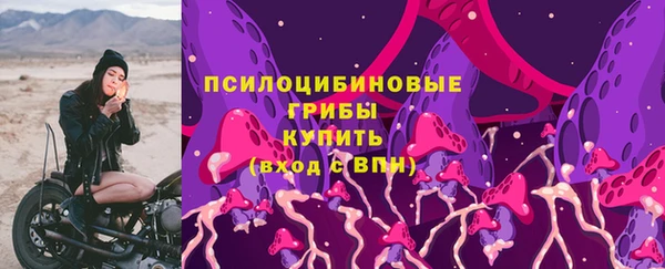 дживик Навашино
