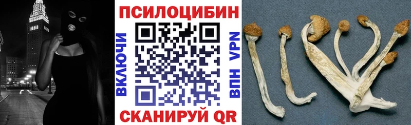 Галлюциногенные грибы Psilocybe Нижневартовск