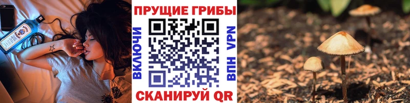 Псилоцибиновые грибы MAGIC MUSHROOMS  Нижневартовск 